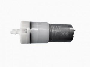 TT-30C微型蠕动泵